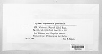 Drepanopeziza populi image